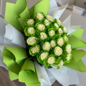 Green roses 25 steams