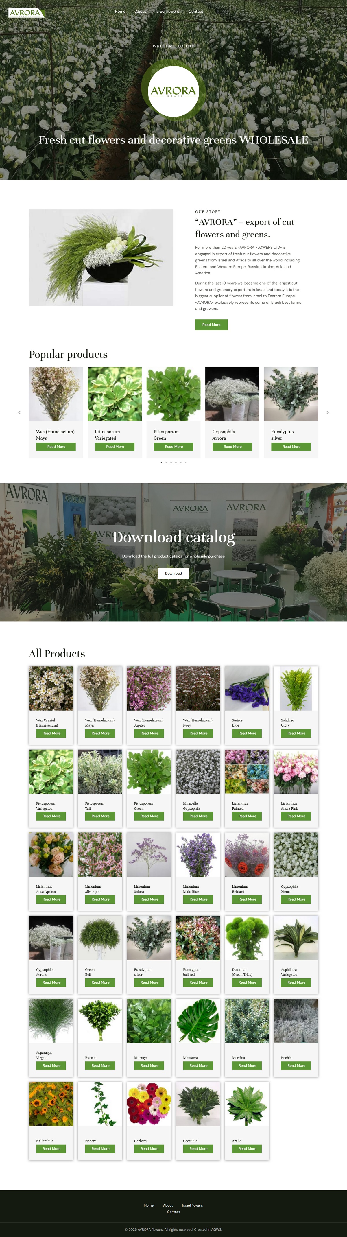 AVRORA Flowers — B2B wholesale catalog website